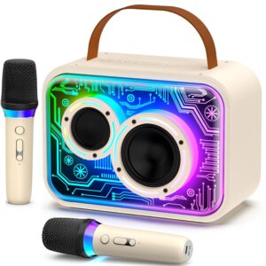 Karaoke Machine with 2 Wireless Mics